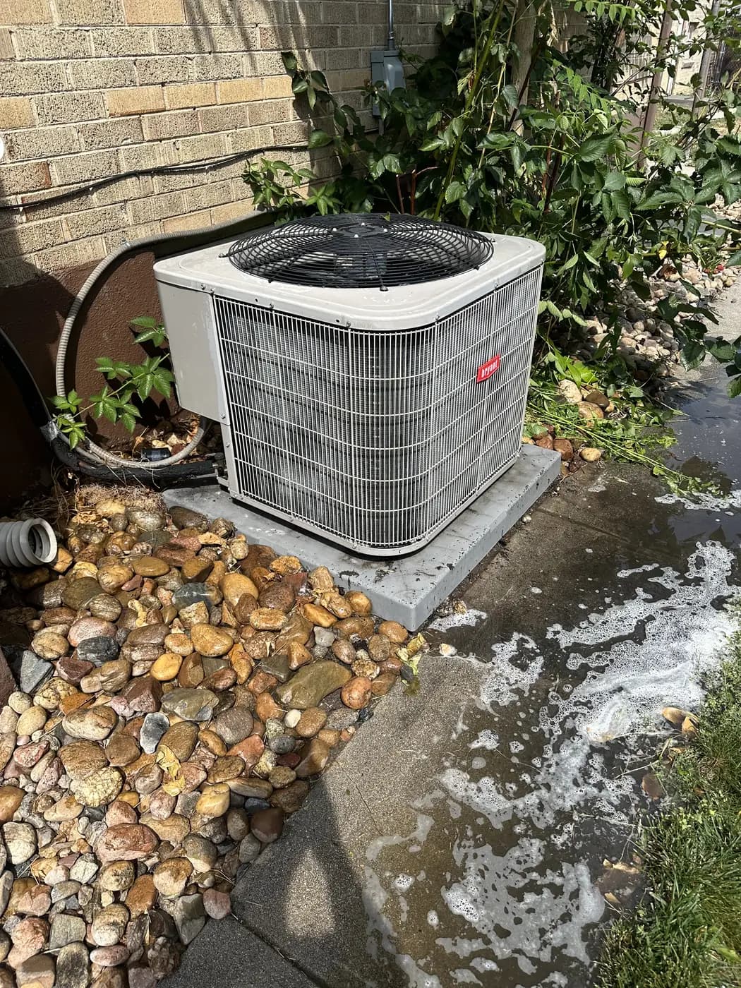 Bryant AC condenser unit after a coil cleaning at a Denver home