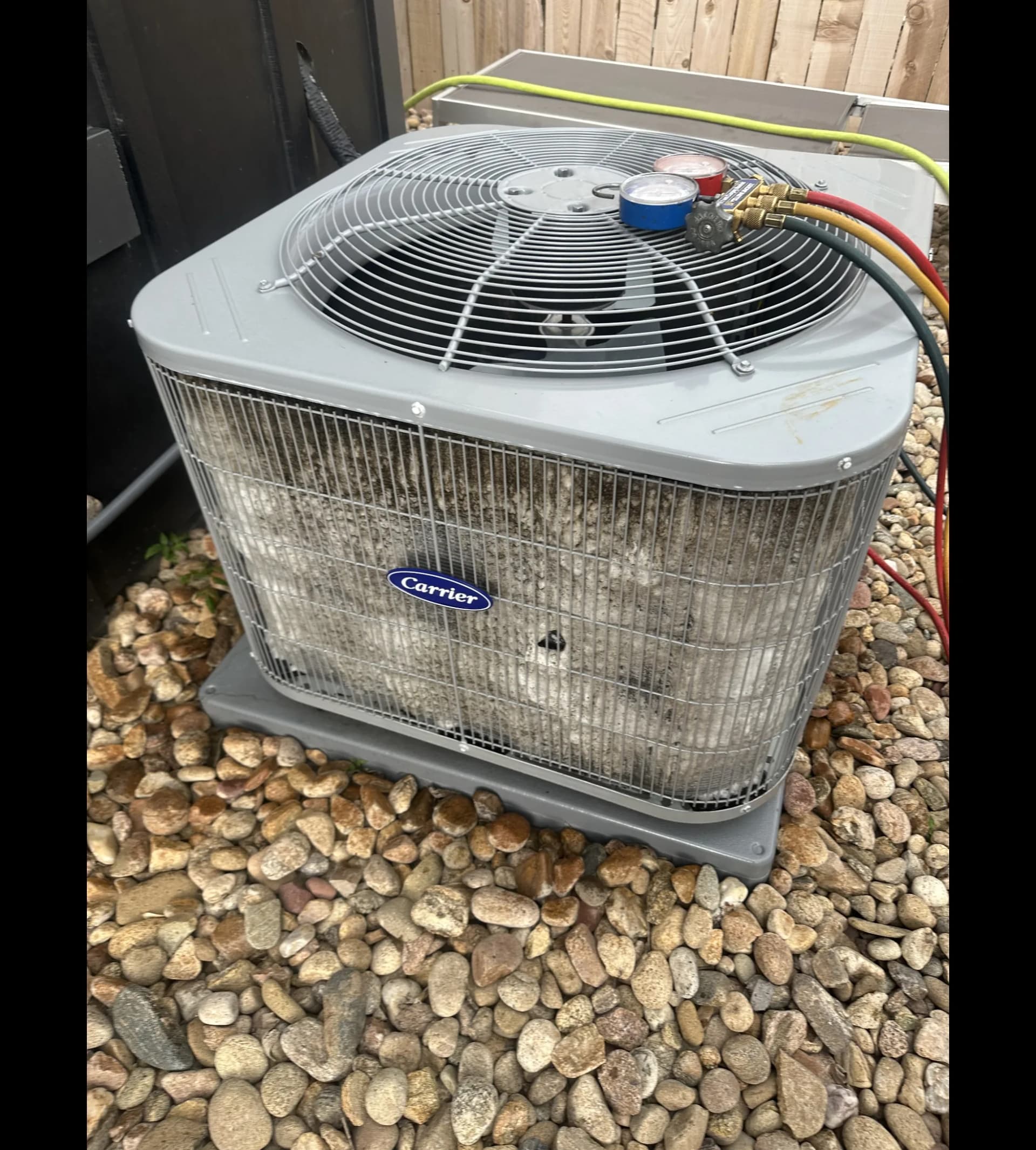 Denver's Best HVAC technician checking AC refrigerant pressures on a Carrier unit in Denver CO